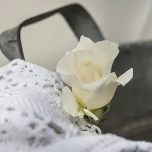  Bed & Breakfast Il Giardino Di Ortensia Italia